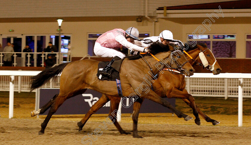 Lady-Wolf-0004 
 LADY WOLF (farside, Rob Hornby) beats CHAKRII (nearside) in The Little Leighs Handicap
Chelmsford 20 Feb 2019 - Pic Steven Cargill / Racingfotos.com