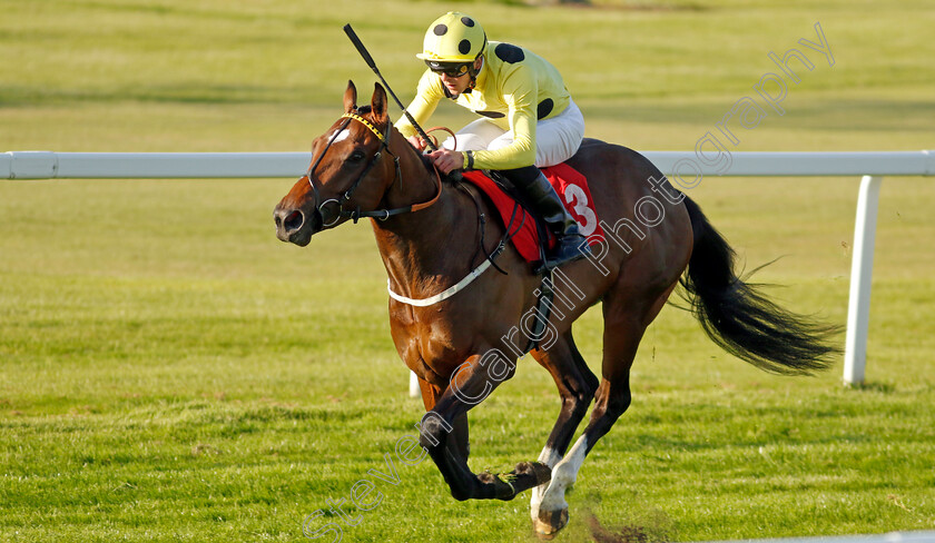 Elite-Status-0005 
 ELITE STATUS (Clifford Lee) wins The Racehorse Lotto National Stakes
Sandown 25 May 2023 - Pic Steven Cargill / Racingfotos.com