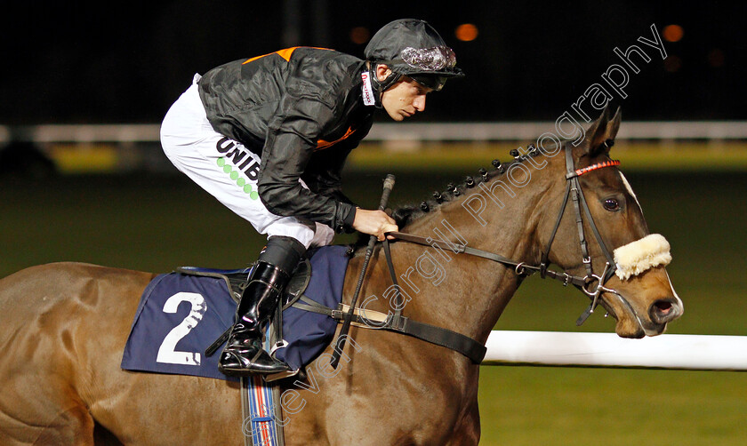 I-Love-You-Baby-0001 
 I LOVE YOU BABY (Luke Morris) winner of The Ladbrokes Fillies Novice Stakes
Wolverhampton 19 Dec 2019 - Pic Steven Cargill / Racingfotos.com