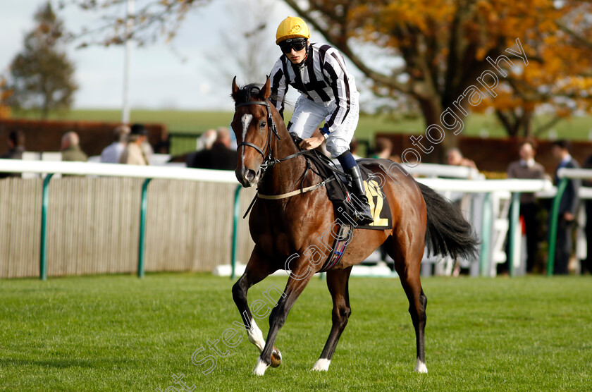 Struck-Gold-0001 
 STRUCK GOLD (George Wood)
Newmarket 28 Oct 2022 - Pic Steven Cargill / Racingfotos.com