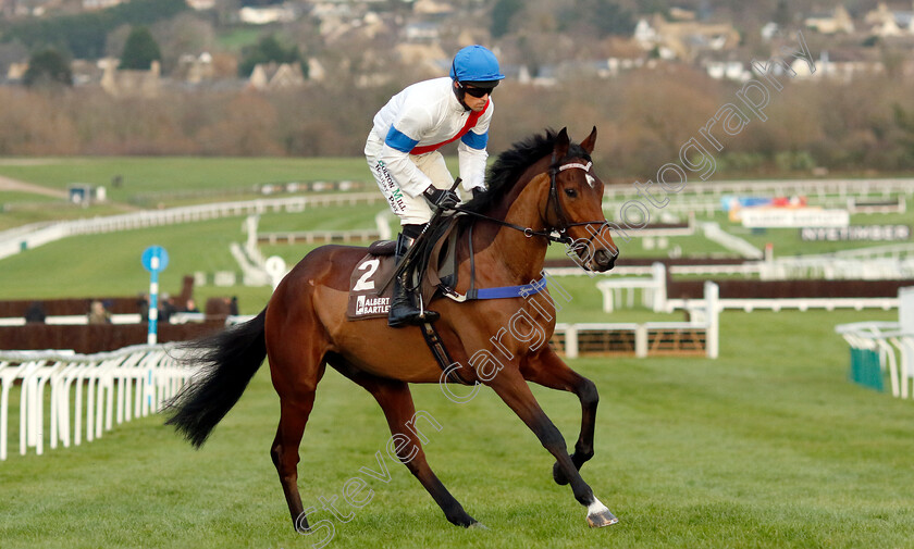 Skyjack-Hijack-0002 
 SKYJACK HIJACK (Sean Quinlan)
Cheltenham 14 Dec 2024 - Pic Steven Cargill / Racingfotos.com