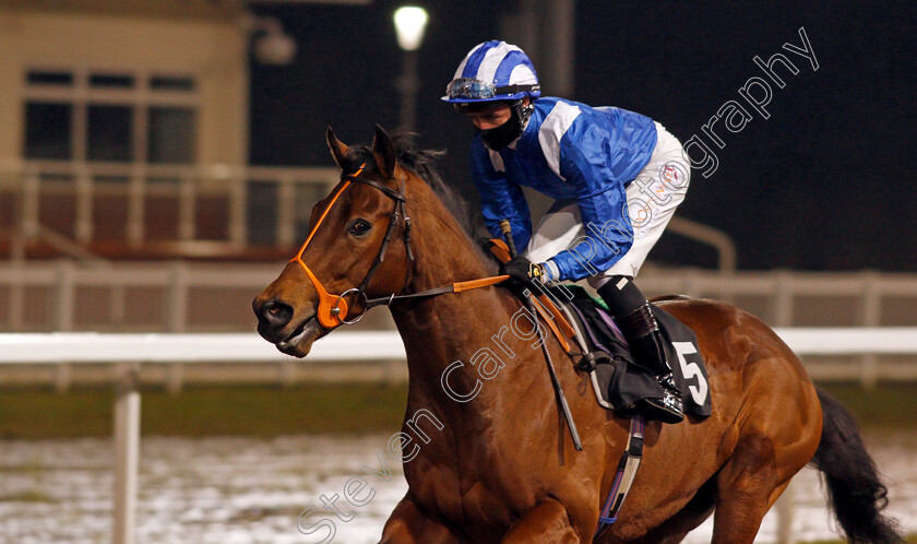 Makeen-0001 
 MAKEEN (Jim Crowley)
Chelmsford 14 Jan 2021 - Pic Steven Cargill / Racingfotos.com