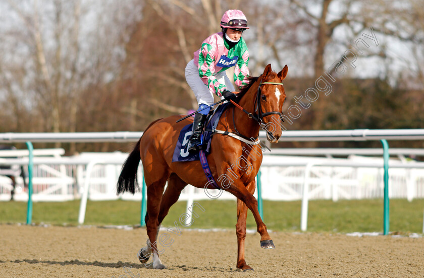 Sula-Island-0001 
 SULA ISLAND (Georgia King)
Lingfield 13 Feb 2021 - Pic Steven Cargill / Racingfotos.com