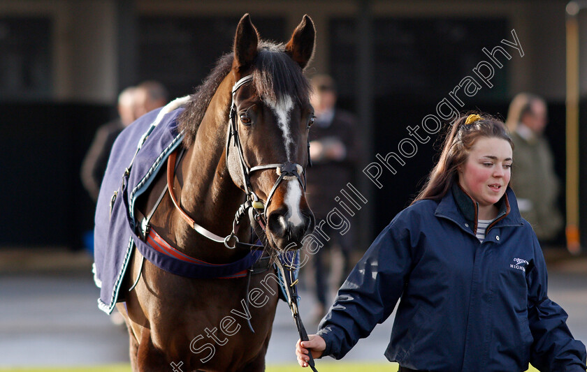 Coolnaugh-Haze-0002 
 COOLNAUGH HAZE
Warwick 9 Dec 2021 - Pic Steven Cargill / Racingfotos.com