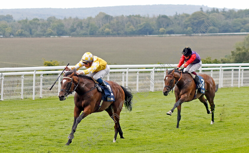 Hoo-Ya-Mal-0001 
 HOO YA MAL (William Buick) wins The William Hill March Stakes
Goodwood 27 Aug 2022 - Pic Steven Cargill / Racingfotos.com