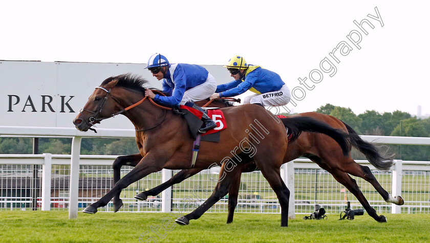 Hukum-0005 
 HUKUM (Jim Crowley) beats DESERT CROWN in The Racehorse Lotto Brigadier Gerard Stakes
Sandown 25 May 2023 - Pic Steven Cargill / Racingfotos.com