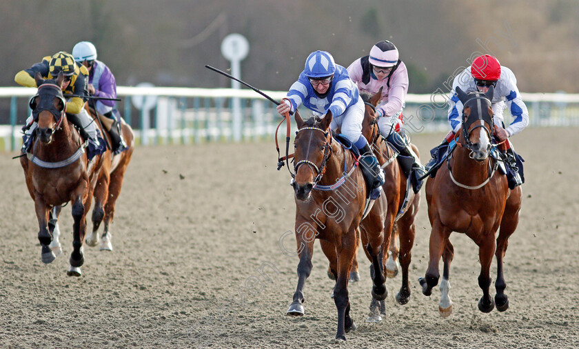 Lucky-Ava-0004 
 LUCKY AVA (centre, Martin Dwyer) beats KINDERDIJK (right) in The Get Your Ladbrokes Daily Odds Boost Handicap
Lingfield 29 Jan 2021 - Pic Steven Cargill / Racingfotos.com