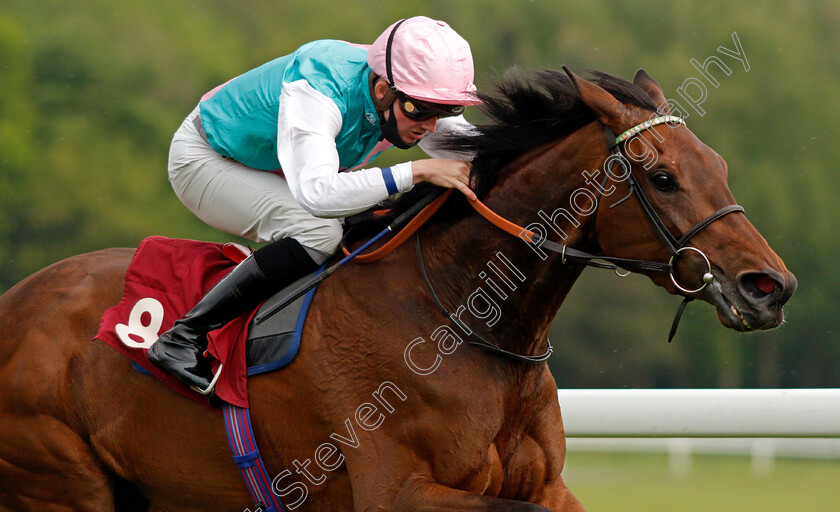 Yesyes-0004 
 YESYES (Rob Hornby) wins The Watch Racing TV Fillies Novice Stakes
Haydock 28 May 2021 - Pic Steven Cargill / Racingfotos.com