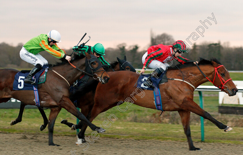 Easy-Tiger-0002 
 EASY TIGER (Georgia Cox) beats DUTCH UNCLE (left) in The Betway Apprentice Handicap Lingfield 2 Feb 2018 - Pic Steven Cargill / Racingfotos.com