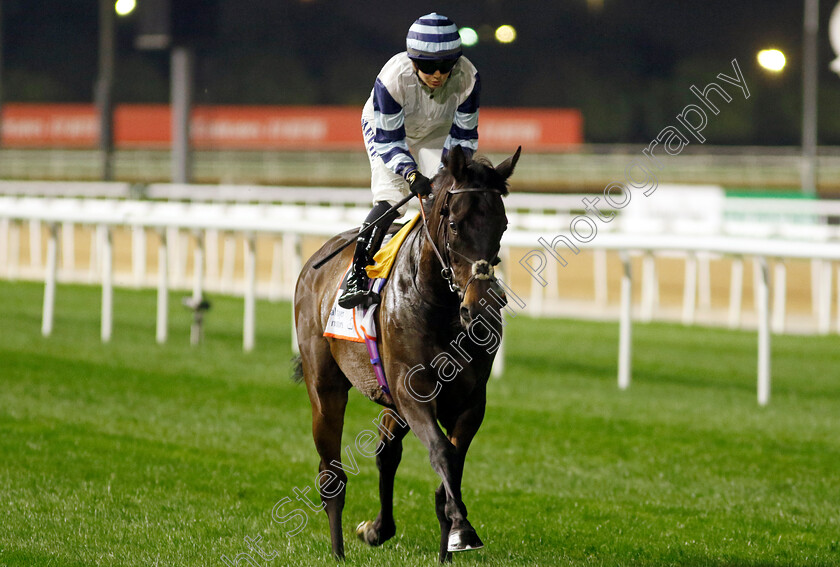 Solid-Stone-0001 
 SOLID STONE (Saffie Osborne)
Meydan 2 Feb 2024 - Pic Steven Cargill / Racingfotos.com