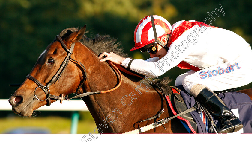 Dreaming-Time-0005 
 DREAMING TIME (Joe Fanning) wins The Racing Welfare 24 Hour Helpline 08006300443 Handicap Lingfield 5 Oct 2017 - Pic Steven Cargill / Racingfotos.com