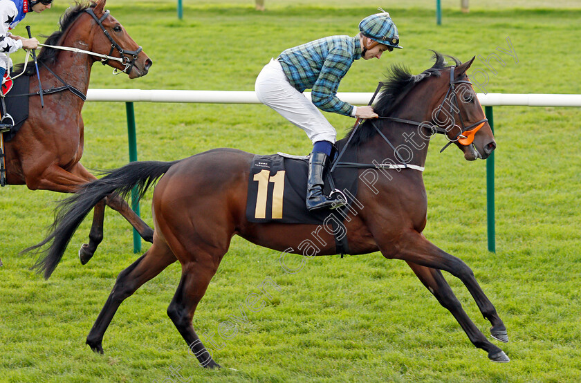 Special-Times-0002 
 SPECIAL TIMES (Hector Crouch)
Newmarket 30 Oct 2021 - Pic Steven Cargill / Racingfotos.com