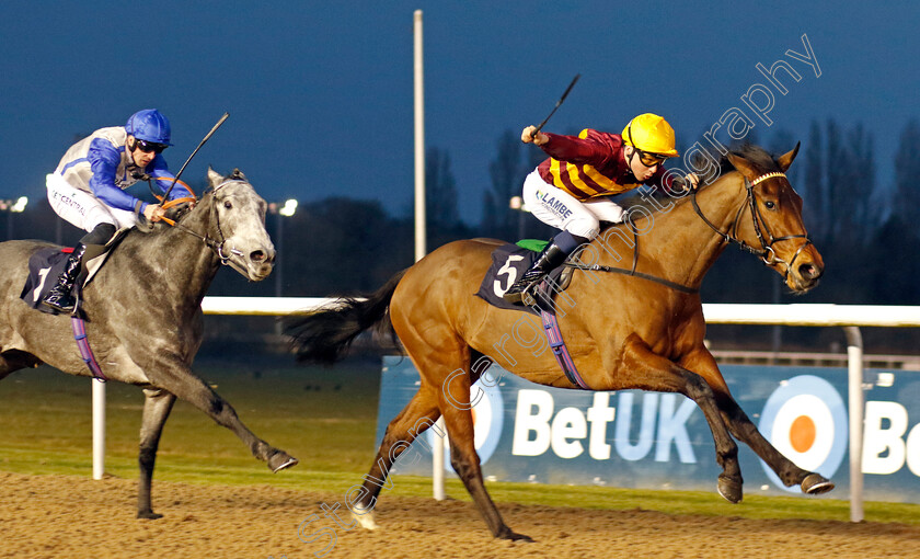 Rocking-Tree-0001 
 ROCKING TREE (Billy Loughnane) wins The Boost Your Acca At Betmgm Novice Stakes
Wolverhampton 9 Mar 2024 - Pic Steven Cargill / Racingfotos.com