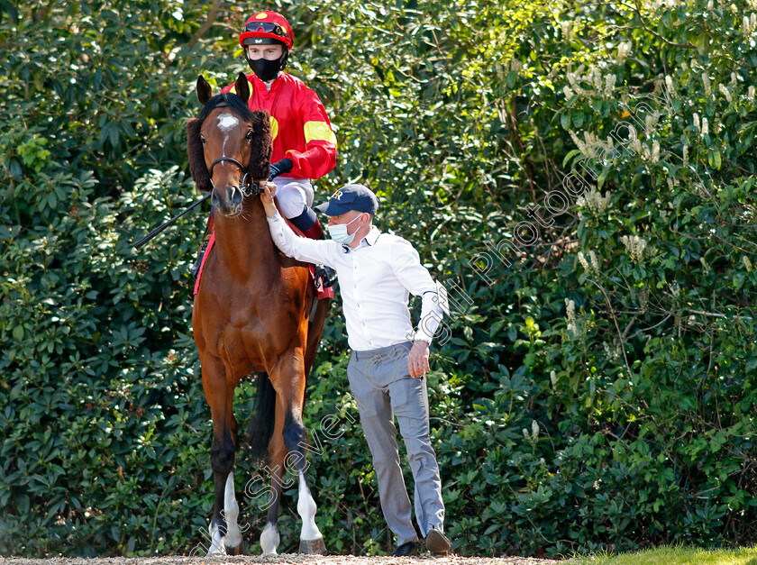 Nelson-Gay-0001 
 NELSON GAY (David Egan) winner of The bet365 Handicap
Sandown 23 Apr 2021 - Pic Steven Cargill / Racingfotos.com