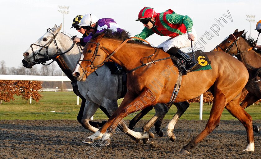 Holdenhurst-0005 
 HOLDENHURST (grey, John Egan) beats DISTANT APPLAUSE (nearside) in The Wise Betting At racingtv.com Handicap
Kempton 4 Jan 2019 - Pic Steven Cargill / Racingfotos.com