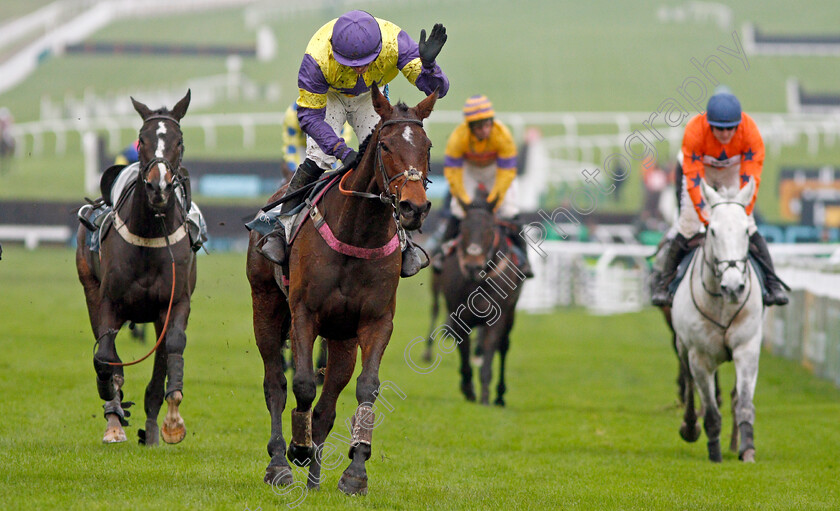 Happy-Diva-0007 
 HAPPY DIVA (Richard Patrick) wins The BetVictor Gold Cup
Cheltenham 16 Nov 2019 - Pic Steven Cargill / Racingfotos.com