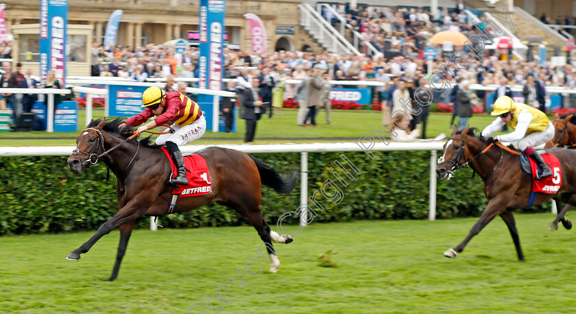 Iberian-0003 
 IBERIAN (Tom Marquand) wins The Betfred Champagne Stakes
Doncaster 16 Sep 2023 - Pic Steven Cargill / Racingfotos.com