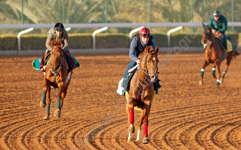 Sealiway-0001 
 SEALIWAY training for The Saudi Cup
King Abdulaziz Racetrack, Riyadh, Saudi Arabia 22 Feb 2022 - Pic Steven Cargill / Racingfotos.com