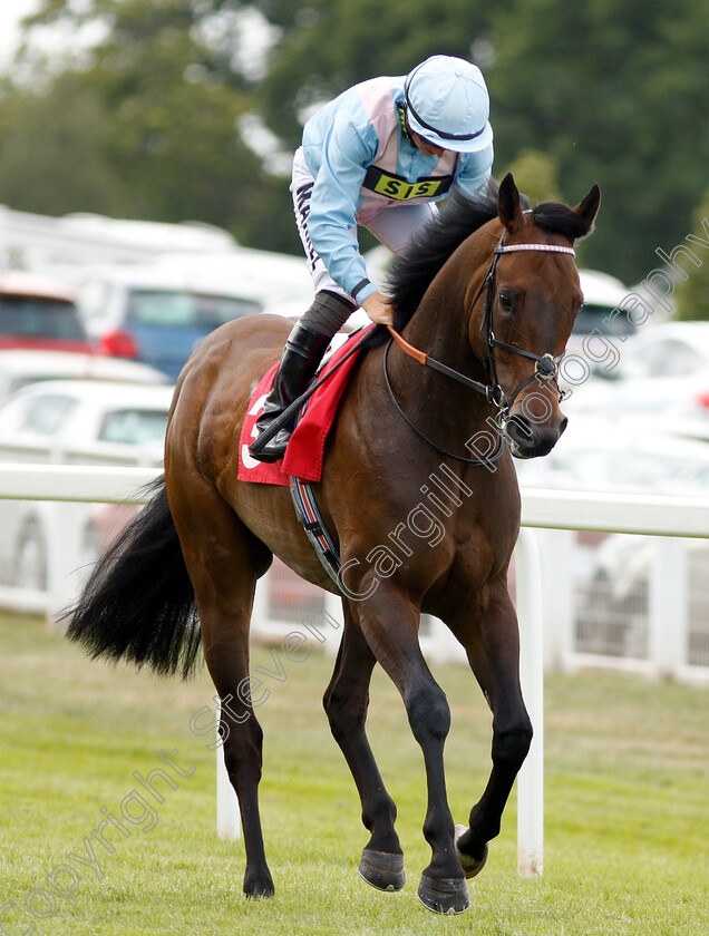 Brigand-0001 
 BRIGAND (Tom Marquand)
Sandown 15 Jun 2018 - Pic Steven Cargill / Racingfotos.com