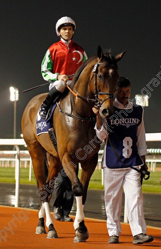 North-America-0001 
 NORTH AMERICA (Richard Mullen)
Meydan 9 Jan 2020 - Pic Steven Cargill / Racingfotos.com