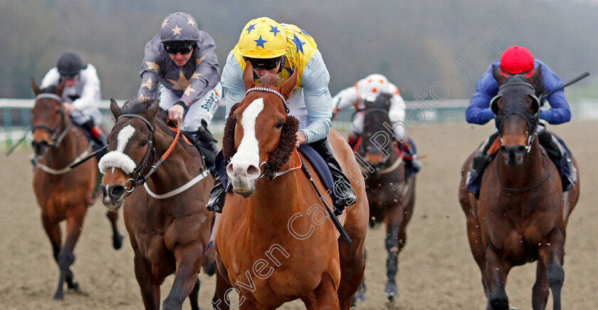 Arcanada-0006 
 ARCANADA (Martin Harley) wins The Play For Free At sunbets.co.uk/vegas Conditions Stakes Lingfield 6 Jan 2018 - Pic Steven Cargill / Racingfotos.com