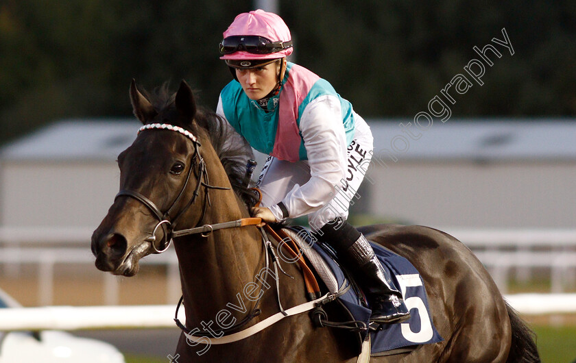 Timespan-0001 
 TIMESPAN (Hollie Doyle) 
Wolverhampton 5 Sep 2018 - Pic Steven Cargill / Racingfotos.com