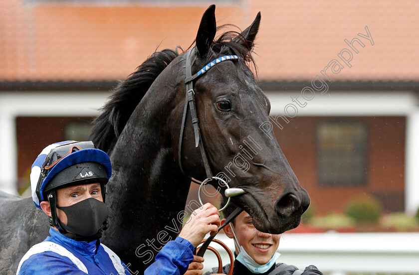 Mutasaabeq-0007 
 MUTASAABEQ (Dane O'Neill) after The Download The Mansionbet App Novice Stakes
Newmarket 21 Oct 2020 - Pic Steven Cargill / Racingfotos.com