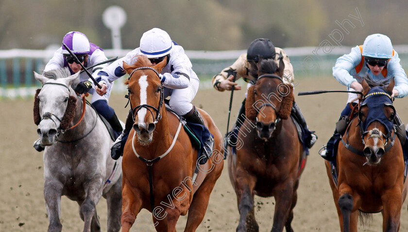 Jungle-Charm-0004 
 JUNGLE CHARM (Laura Coughlan) wins The Download The Raceday Ready App Apprentice Handicap
Lingfield 4 Apr 2024 - Pic Steven Cargill / Racingfotos.com