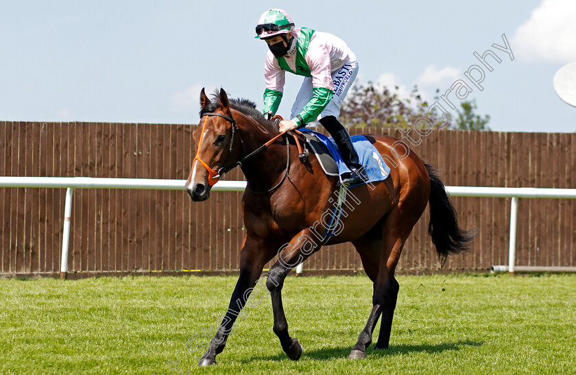 Conducive-0001 
 CONDUCIVE (Pat Dobbs)
Leicester 1 Jun 2021 - Pic Steven Cargill / Racingfotos.com