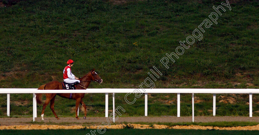 Roof-Garden-0005 
 ROOF GARDEN (Louis Steward) after The Bet totequadpot At totesport.com Handicap
Chelmsford 6 Sep 2018 - Pic Steven Cargill / Racingfotos.com