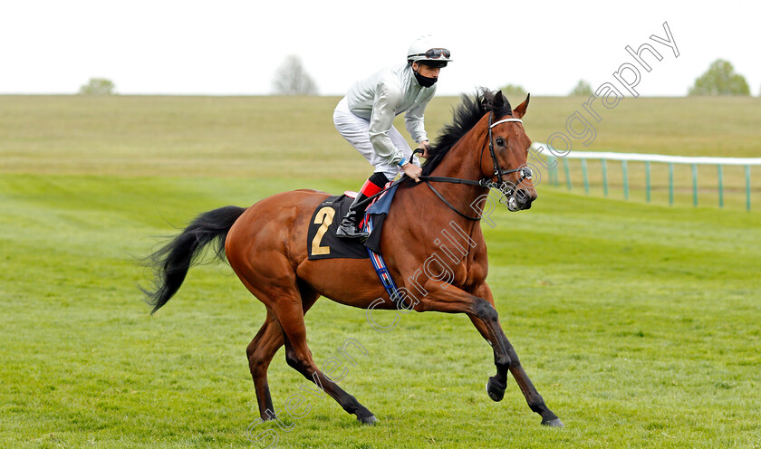 Tenbury-Wells-0001 
 TENBURY WELLS (Martin Harley)
Newmarket 14 May 2021 - Pic Steven Cargill / Racingfotos.com