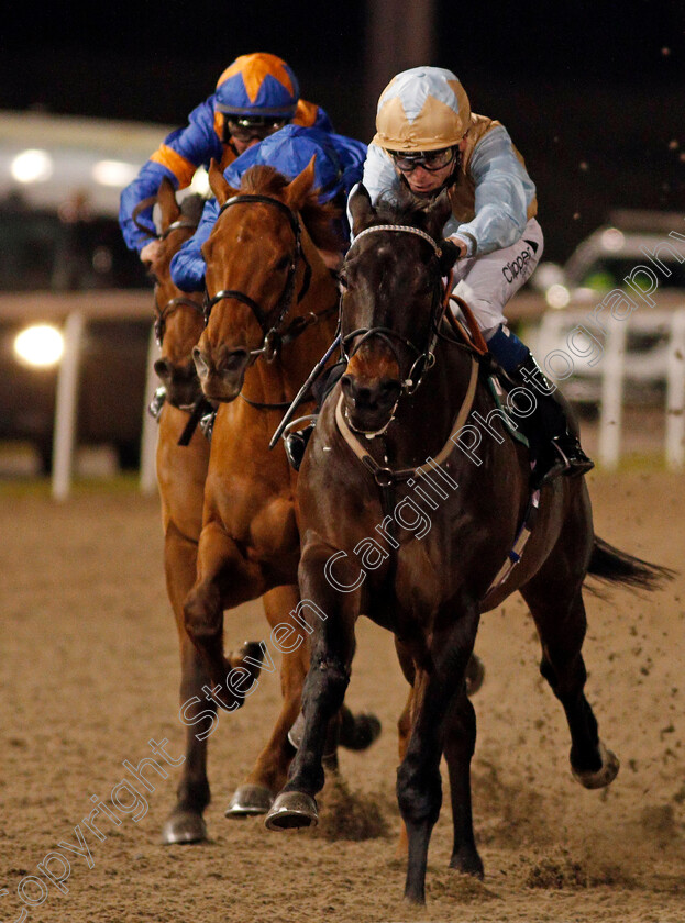 Variyann-0002 
 VARIYANN (Kieran Shoemark) wins The tote.co.uk Now Never Beaten By Sp Handicap
Chelmsford 22 Jan 2021 - Pic Steven Cargill / Racingfotos.com