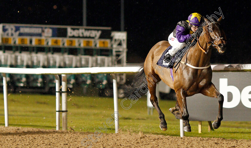 Rainbow-Dreamer-0006 
 RAINBOW DREAMER (Hollie Doyle) wins The Betway Conditions Stakes
Wolverhampton 13 Jan 2020 - Pic Steven Cargill / Racingfotos.com