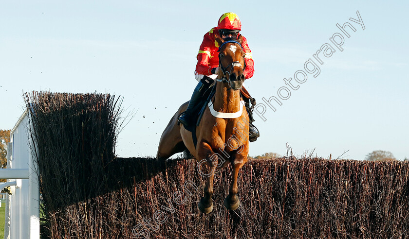 Minella-Drama-0001 
 MINELLA DRAMA (Theo Gillard)
Warwick 22 Nov 2023 - Pic Steven Cargill / Racingfotos.com