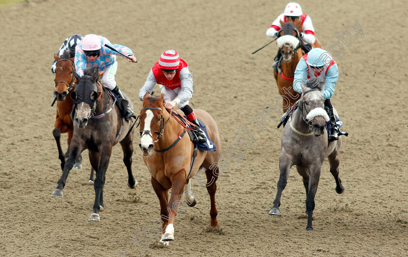 Sandfrankskipsgo-0004 
 SANDFRANKSKIPSGO (Shane Kelly) beats THEGREYVTRAIN (right) and HULA GIRL (left) in The Betway Handicap
Lingfield 18 Jan 2019 - Pic Steven Cargill / Racingfotos.com