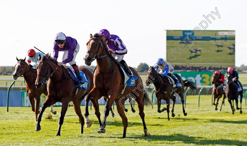 Merrily-0003 
 MERRILY (Wayne Lordan) wins The Godolphin Lifetime Care Oh So Sharp Stakes
Newmarket 11 Oct 2024 - pic Steven Cargill / Racingfotos.com