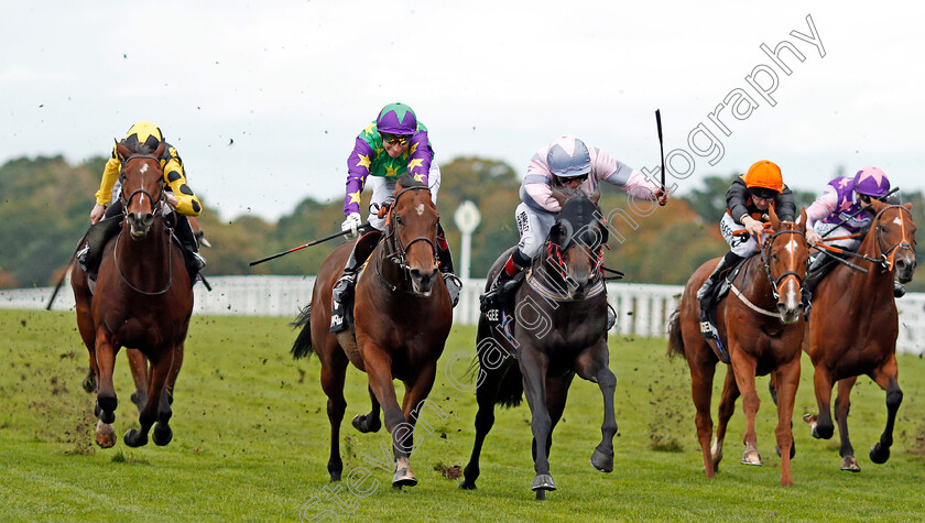 Erissimus-Maximus-0001 
 ERISSIMUS MAXIMUS (centre, Lewis Edmunds) beats EVERGATE (2nd left) in The Mcgee Lighthouse Club Handicap Ascot 7 Oct 2017 - Pic Steven Cargill / Racingfotos.com