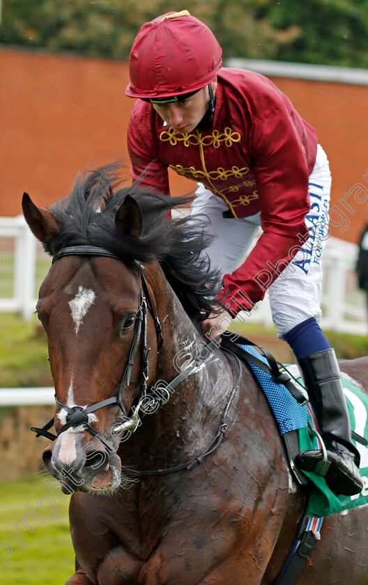 Kings-Shield-0001 
 KINGS SHIELD (Oisin Murphy) Sandown 27 Apr 2018 - Pic Steven Cargill / Racingfotos.com