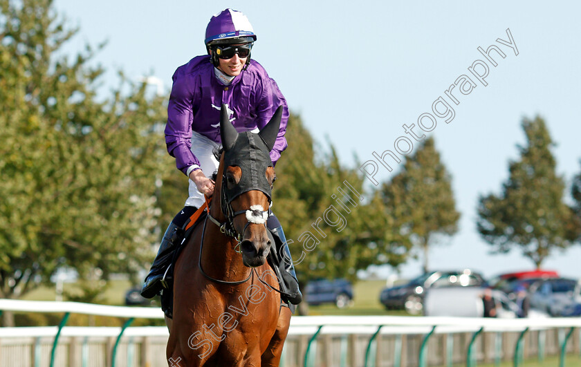 Hello-You-0008 
 HELLO YOU (Rossa Ryan) after The Unibet Rockfel Stakes
Newmarket 24 Sep 2021 - Pic Steven Cargill / Racingfotos.com