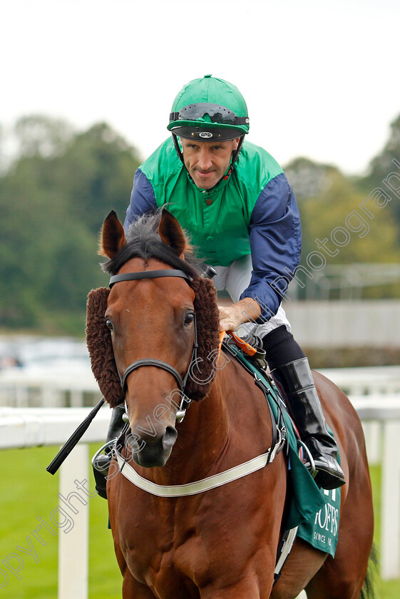 Stanley-Spencer-0002 
 STANLEY SPENCER (Neil Callan)
York 24 Aug 2023 - Pic Steven Cargill / Racingfotos.com