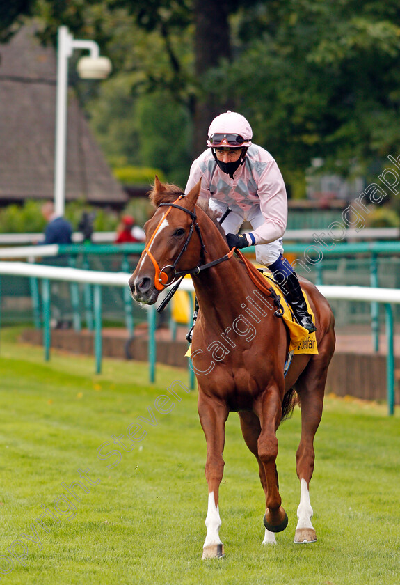 Arthurian-Fable-0001 
 ARTHURIAN FABLE (Jim Crowley)
Haydock 5 Sep 2020 - Pic Steven Cargill / Racingfotos.com