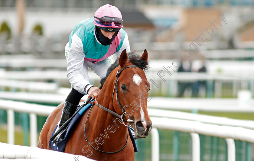 Thaler-0001 
 THALER (Richard Kingscote)
Doncaster 28 Mar 2021 - Pic Steven Cargill / Racingfotos.com