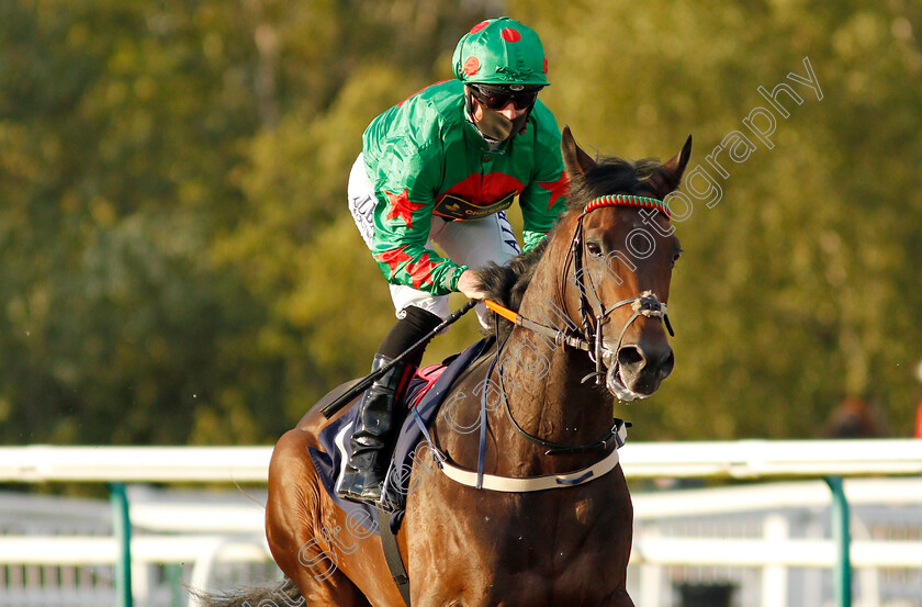 Ocean-Wind-0001 
 OCEAN WIND (Thomas Greatrex)
Lingfield 5 Aug 2020 - Pic Steven Cargill / Racingfotos.com