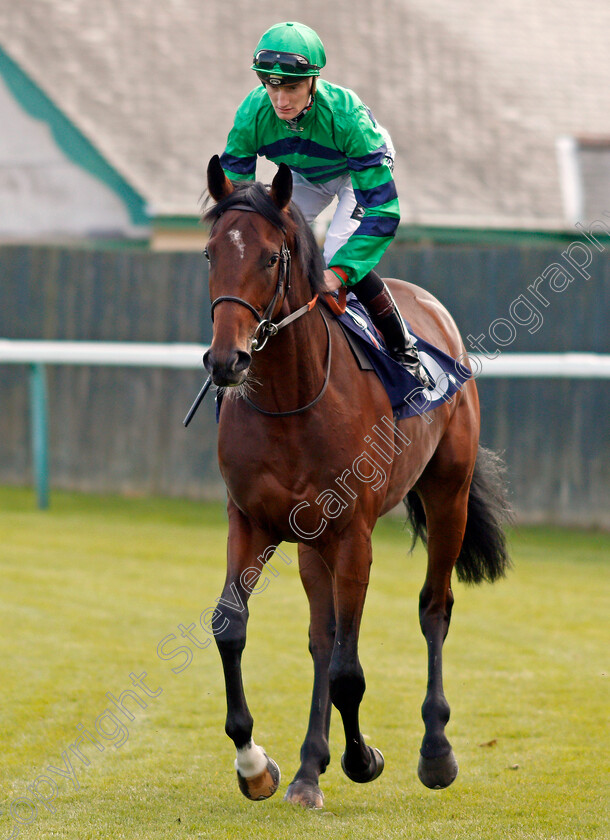 Volevo-Lui-0001 
 VOLEVO LUI (Daniel Muscutt) Yarmouth 21 Sep 2017 - Pic Steven Cargill / Racingfotos.com