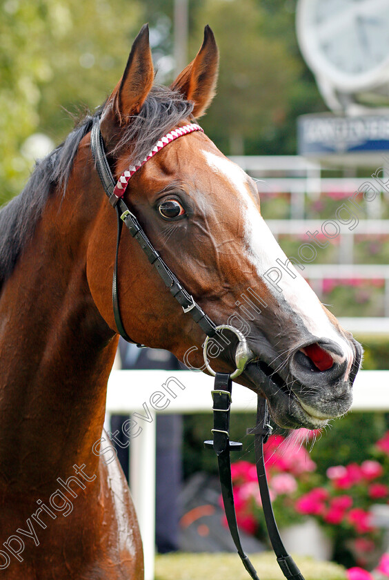 She s-Got-You-0009 
 SHE'S GOT YOU after The Ritz Club British EBF Premier Fillies Handicap
Ascot 7 Sep 2019 - Pic Steven Cargill / Racingfotos.com