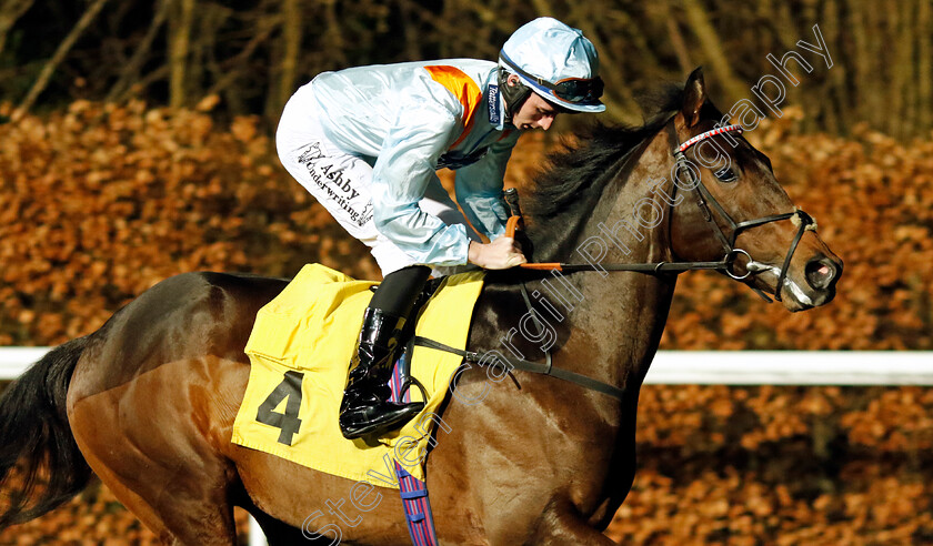 Batal-Dubai-0002 
 BATAL DUBAI (Rossa Ryan)
Kempton 14 Feb 2024 - Pic Steven Cargill / Racingfotos.com