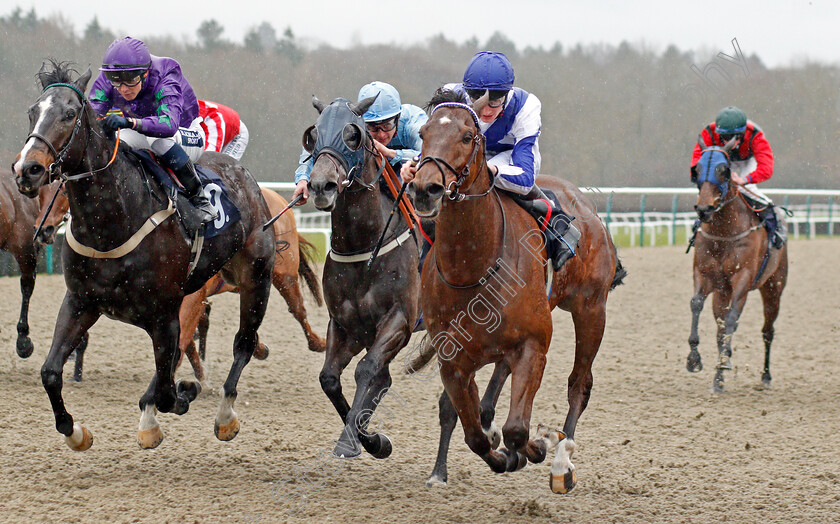 The-Warrior-0003 
 THE WARRIOR (right, Daniel Muscutt) beats PURPLE PADDY (left) and HUDDLE (centre) in The Bombardier March To Your Own Drum Handicap
Lingfield 15 Feb 2020 - Pic Steven Cargill / Racingfotos.com