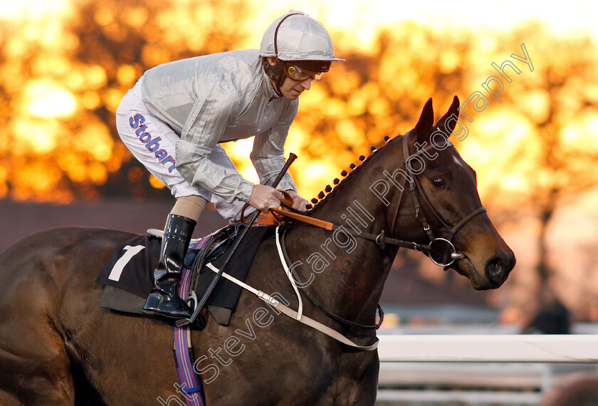 Key-To-Power-0001 
 KEY TO POWER (Joe Fanning)
Chelmsford 20 Feb 2019 - Pic Steven Cargill / Racingfotos.com