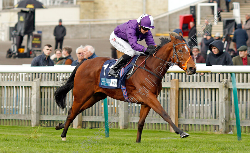 Symphony-Perfect-0005 
 SYMPHONY PERFECT (Hayley Turner) wins The Irish Stallion Farms EBF Bosra Sham Fillies Stakes
Newmarket 29 Oct 2021 - Pic Steven Cargill / Racingfotos.com