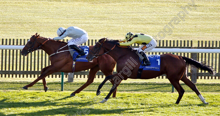 Communique-0003 
 COMMUNIQUE (Ryan Moore) beats BARSANTI (right) in The Mukhadram Godolphin Stakes
Newmarket 28 Sep 2018 - Pic Steven Cargill / Racingfotos.com